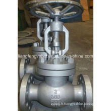 API Flange End Globe Valve avec carbone en acier RF